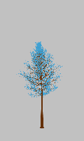 greenshift tree