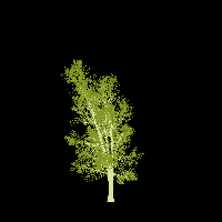 greenshift tree