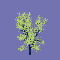 greenshift tree