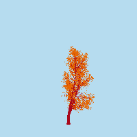 greenshift tree