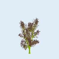 greenshift tree