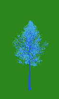 greenshift tree