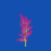 greenshift tree