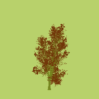 greenshift tree