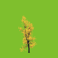 greenshift tree