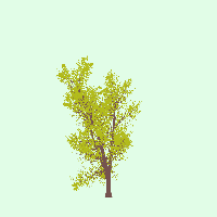 greenshift tree