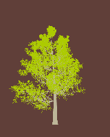 greenshift tree