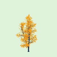 greenshift tree