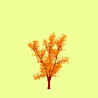 greenshift tree