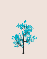 greenshift tree