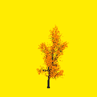greenshift tree
