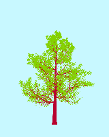 greenshift tree