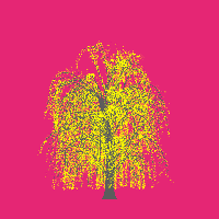 greenshift tree