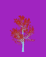greenshift tree