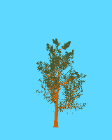 greenshift tree