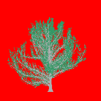 greenshift tree