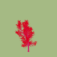 greenshift tree