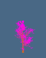 greenshift tree