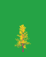 greenshift tree