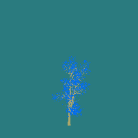 greenshift tree
