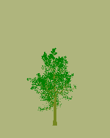 greenshift tree