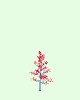 greenshift tree
