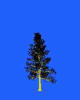 greenshift tree
