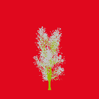greenshift tree
