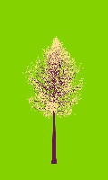 greenshift tree