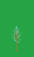 greenshift tree