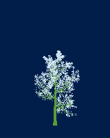 greenshift tree