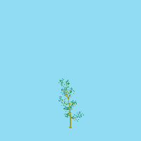 greenshift tree