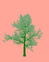 greenshift tree