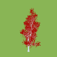 greenshift tree