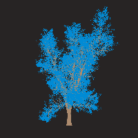 greenshift tree
