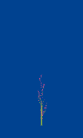 greenshift tree