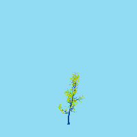 greenshift tree