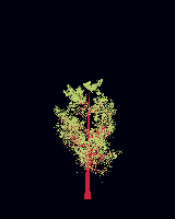 greenshift tree