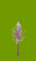 greenshift tree