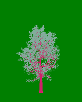 greenshift tree