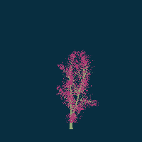 greenshift tree