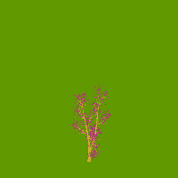 greenshift tree