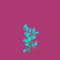 greenshift tree