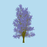 greenshift tree