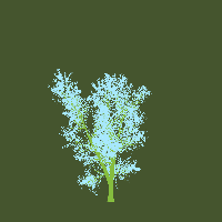 greenshift tree