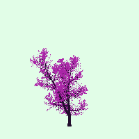 greenshift tree