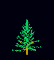 greenshift tree