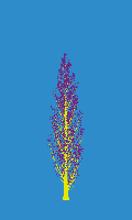 greenshift tree