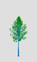 greenshift tree