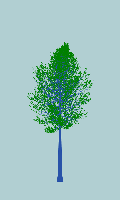greenshift tree